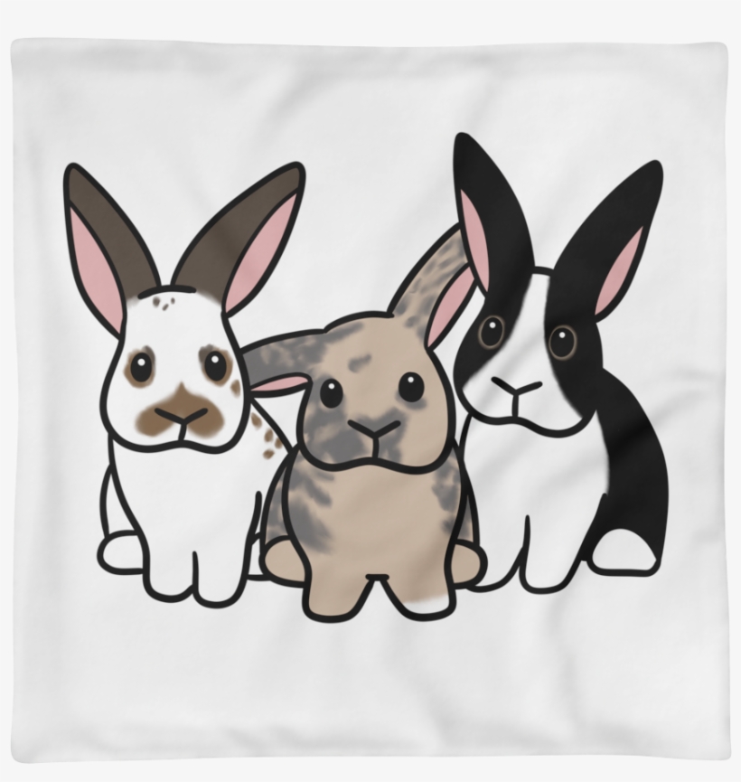 Roxy Coco And Taz Square Pillow Case Only - Domestic Rabbit, transparent png download