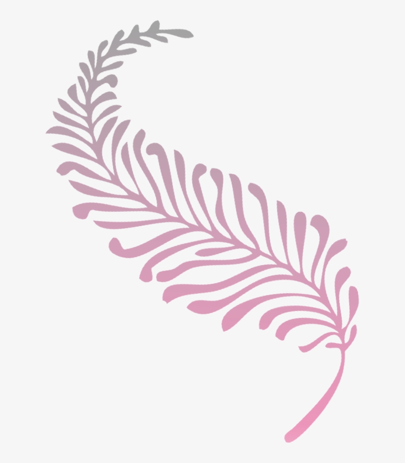 About The Black Feather Intuitive - Illustration, transparent png download
