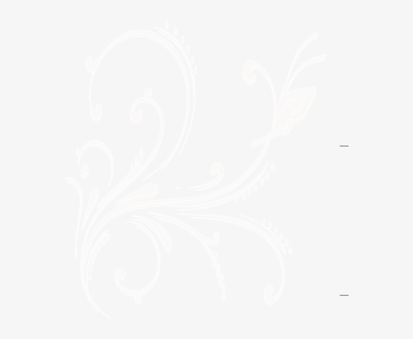 Floral White Png, transparent png download