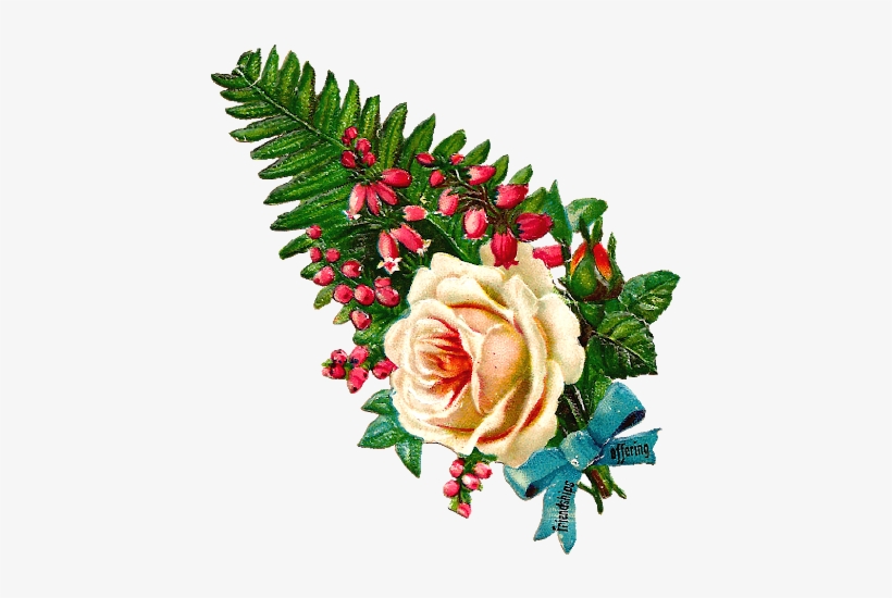 Free Antique Flower Clip Art Roses - Garden Roses, transparent png download