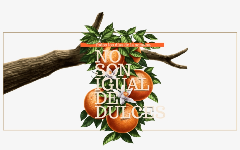 Arbol Naranjas Tunez - Tunez Jugos, transparent png download