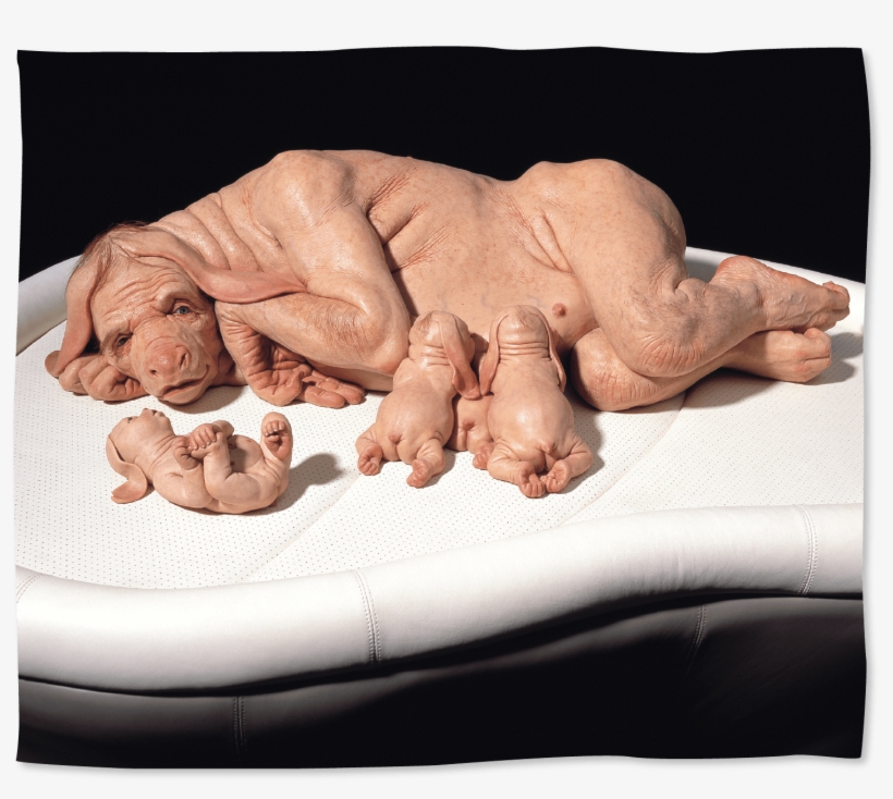 Third Drawer Down X Patricia Piccinini, The Young Family - Patricia Piccinini The Young Family, transparent png download