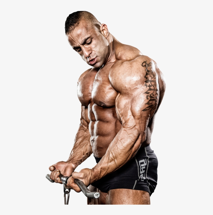 Body Bild, transparent png download