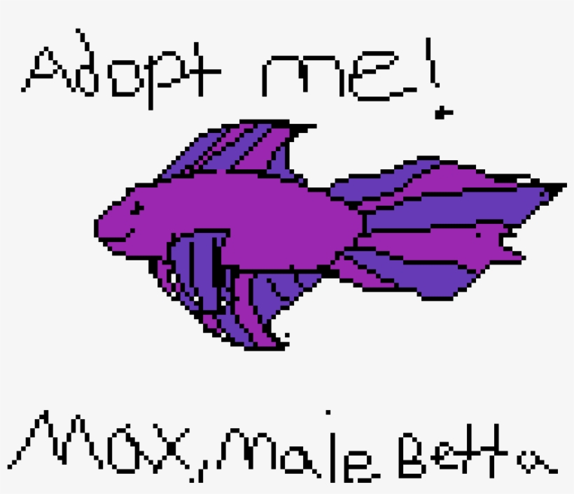 Male Betta Adoptable, transparent png download
