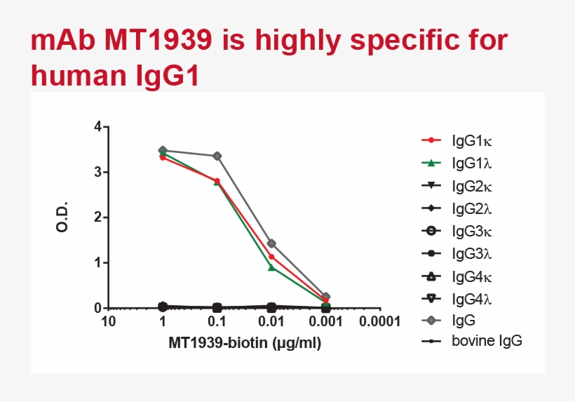 Monoclonal Antibody Mt1939 Is Highly Specific For Human - Right Thing, transparent png download