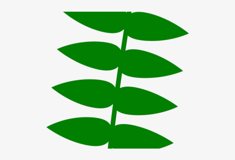 Original - Leaf, transparent png download