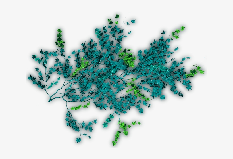 06 Feb 2009 - Tree, transparent png download