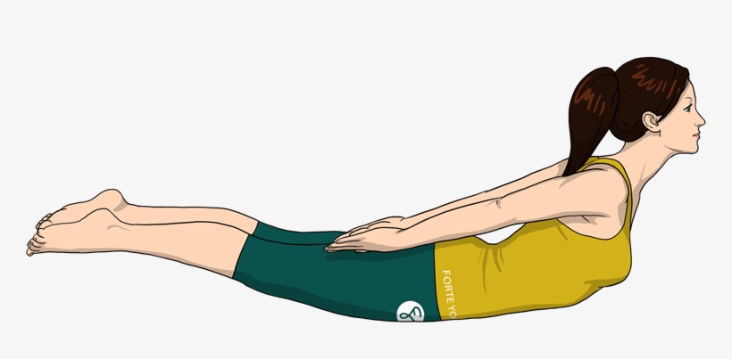 Locust Yoga Pose Forte - Press Up, transparent png download