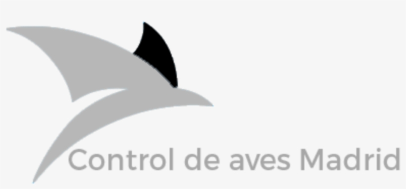 Enfermedades Mas Comunes De Las Palomas - Shark, transparent png download