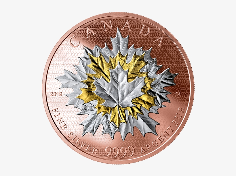 170554 Rev-570 - Maple Leaves In Motion, transparent png download