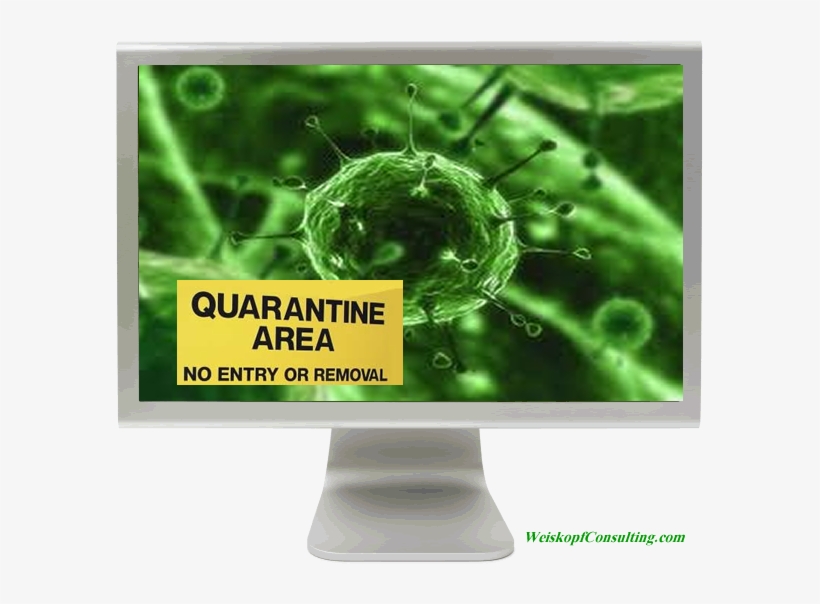 The Variety Of Different Virus Protection Services - Microorganism Photo Of Algae, transparent png download