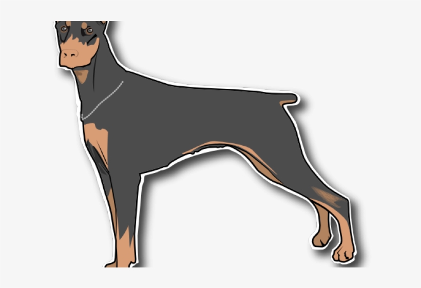 Doberman Cliparts - Dobermann, transparent png download