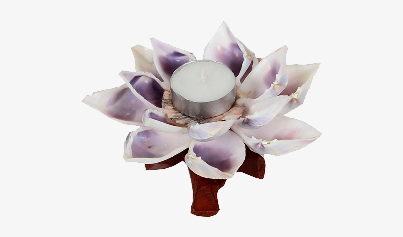 Sea Shell Decorative Products - Artificial Flower, transparent png download