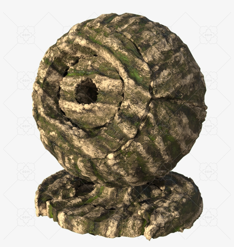 Sample File - Pond Pine, transparent png download