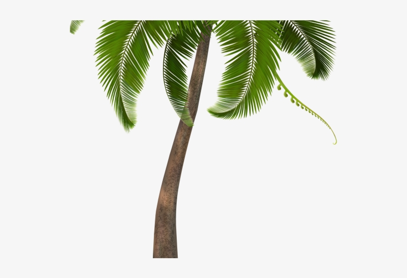 England Clipart Palm Tree - Babyface Ray I Did This Today 2, transparent png download