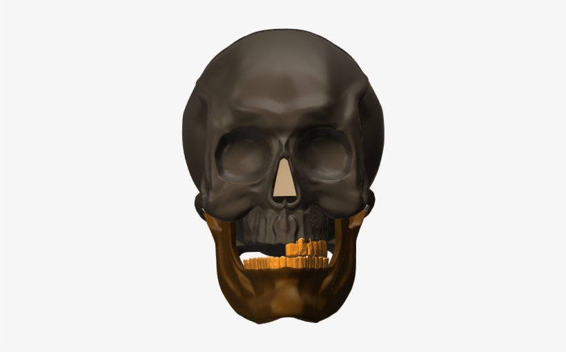 Skull, transparent png download