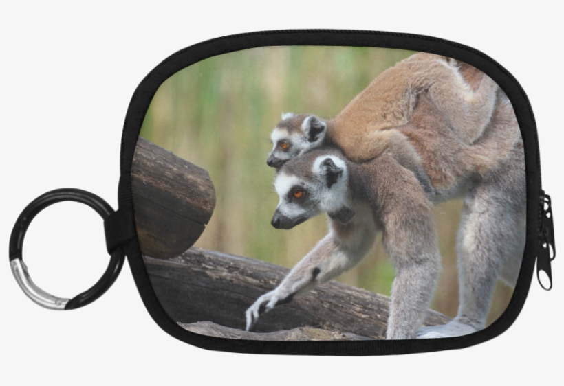 Ring-tailed Lemur Catta Katta Mother And Baby Coin - Coin Purse, transparent png download