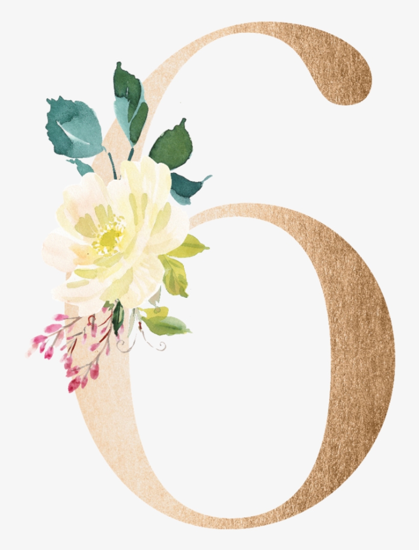 #seis #6 #six #numeros #numero #number #numbers #number - Numero 6 Floral Png, transparent png download