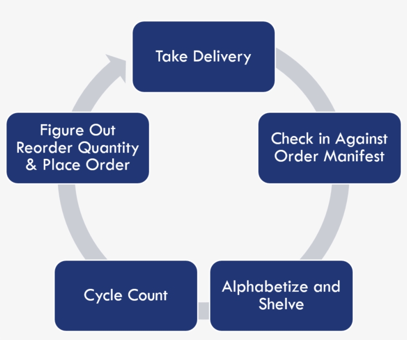 Manual Cycle - Resistance Training Mtor Protein Synthesis Pathway, transparent png download