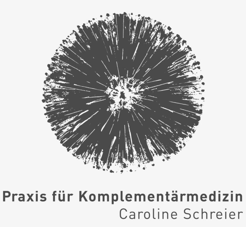 Blutegeltherapie Hirudo-therapie Komplemed Solothurn - Circle, transparent png download