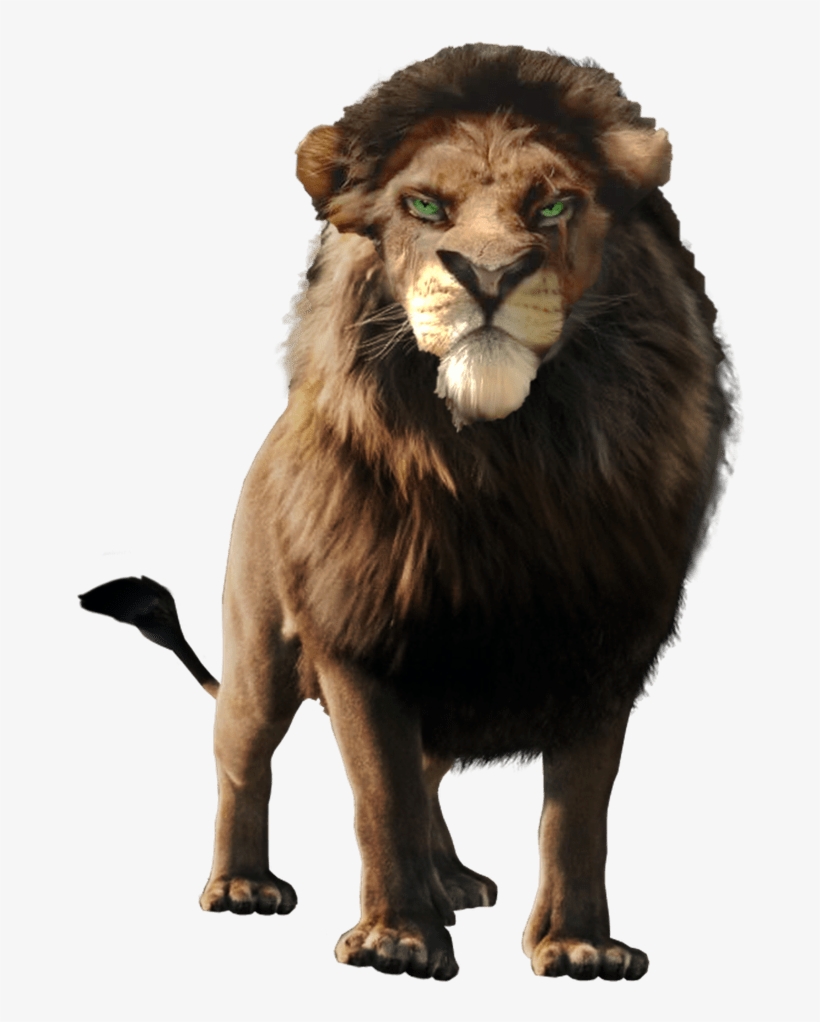 Lion From Narnia, transparent png download