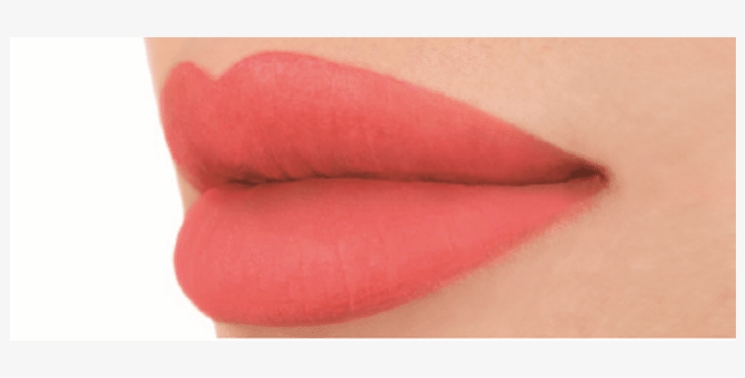 05 800897142827 Softmattelipcream Antwerp Lip - Lipstick, transparent png download