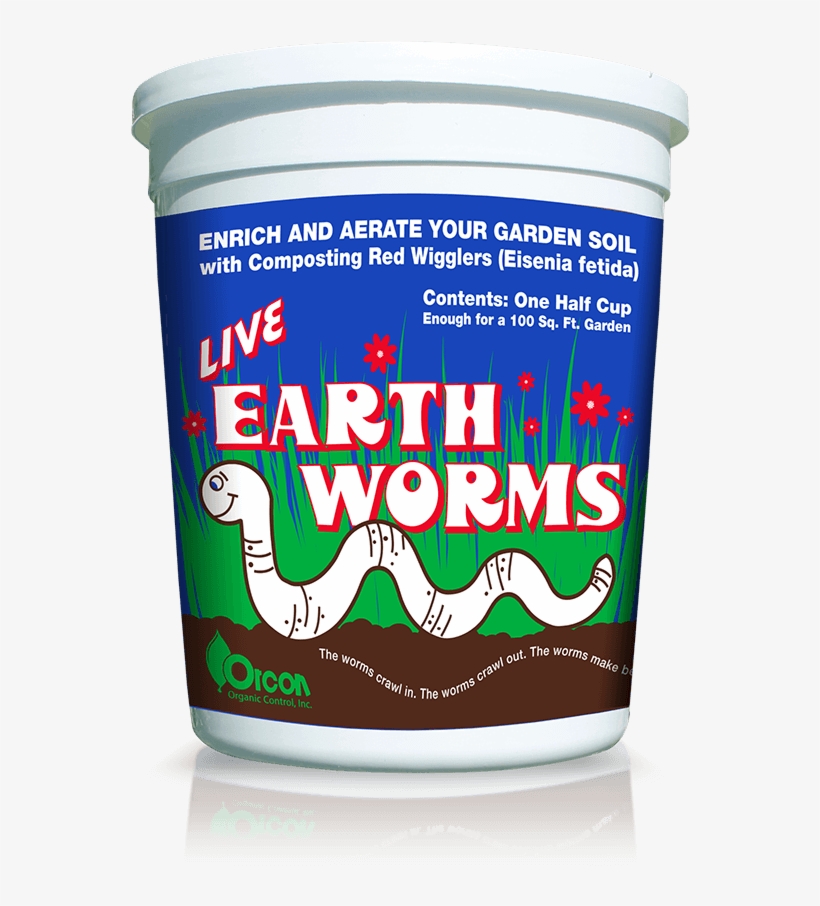 Contact Us - Food, transparent png download