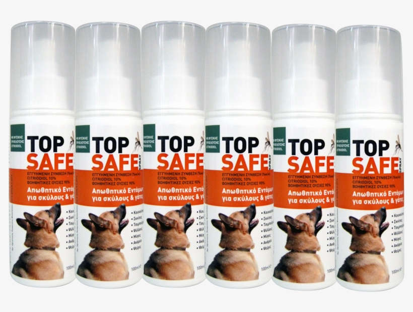 Image01 - Dog, transparent png download