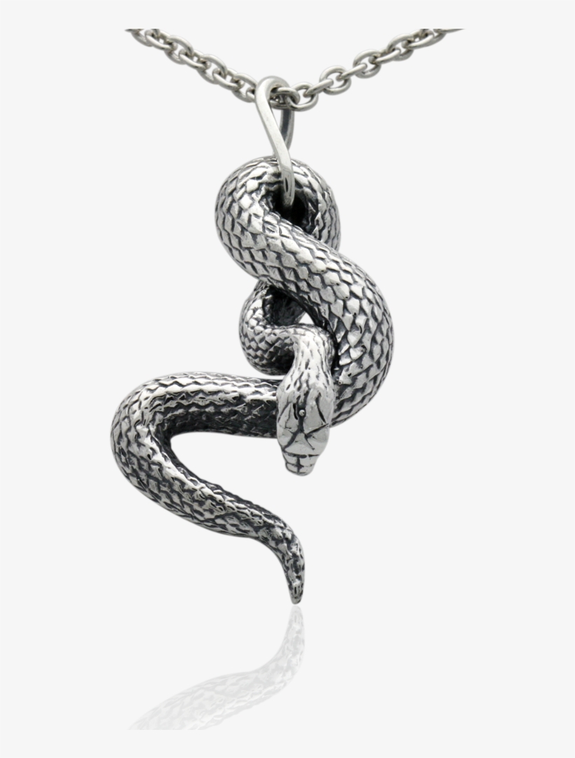 Jewellery - Jewellery Snake, transparent png download