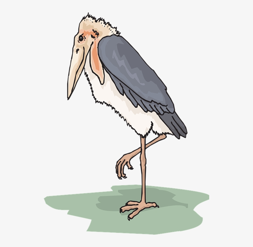 Stork Clipart Wings - Marabou Clipart, transparent png download