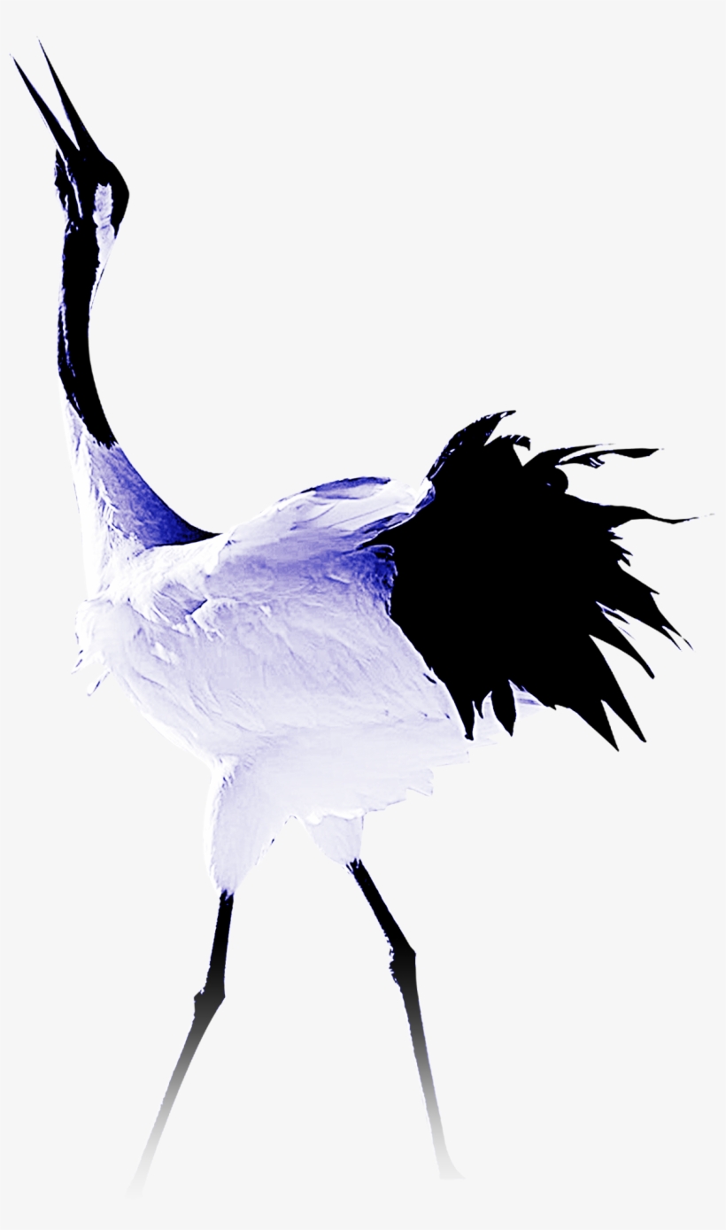 Sandhill Crane Clipart Stork Bird - Bird Crane Png, transparent png download