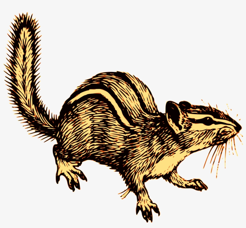 Big Image - Chipmunk Line Art, transparent png download