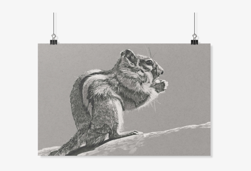 Chipmunk Poster By Yue Zeng - Sketch, transparent png download