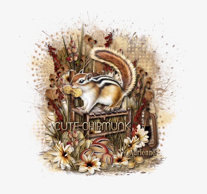 Chipmunk/autumns End - Eastern Chipmunk, transparent png download