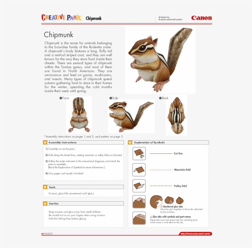 Pdf - Shrub Frog, transparent png download