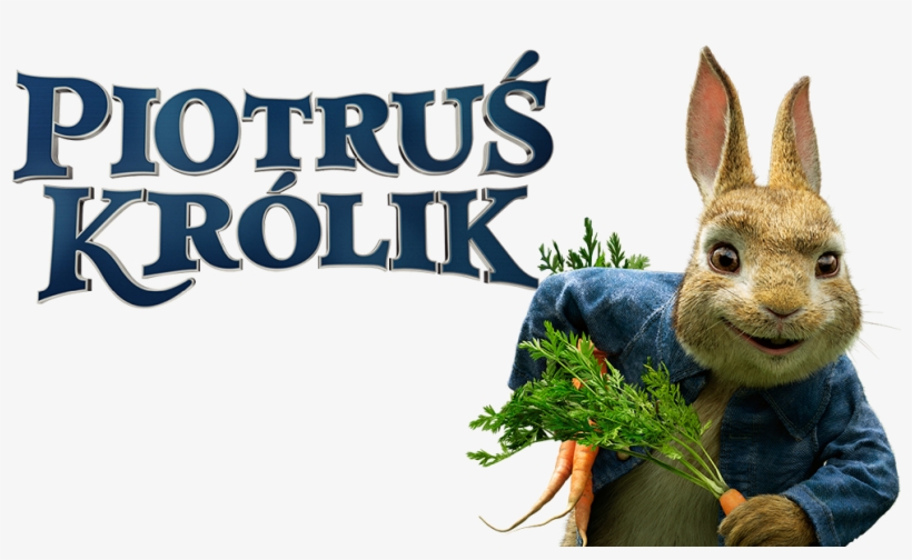 Peter Rabbit Image - Domestic Rabbit, transparent png download