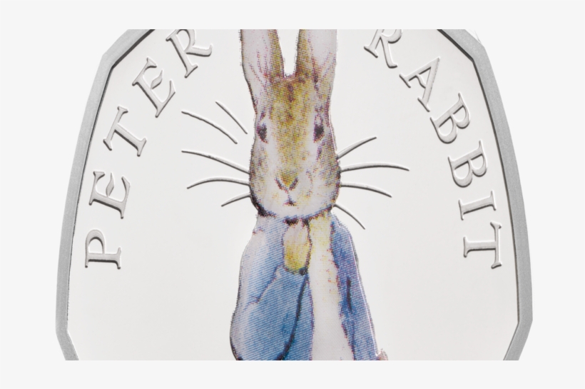 Coin Collectors - Net-winged Insects, transparent png download