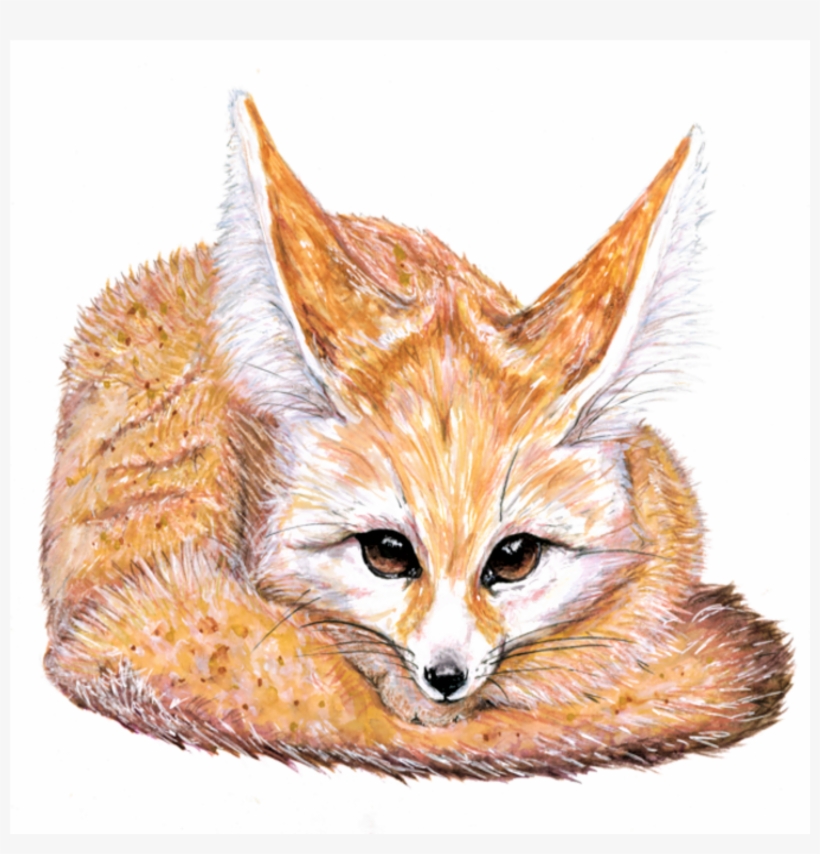 Fennec Fox Watercolour Painting 💕🦊 Mixed Media Watercolour - Painting, transparent png download