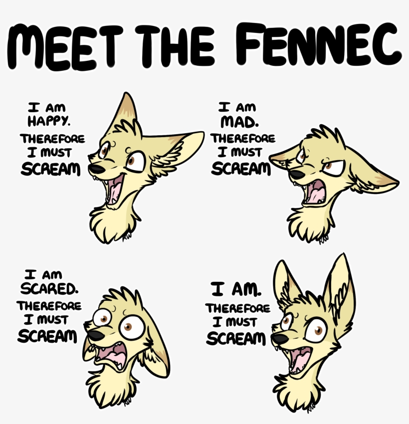 Meet The Fennec - Exist Therefore I Must Scream, transparent png download