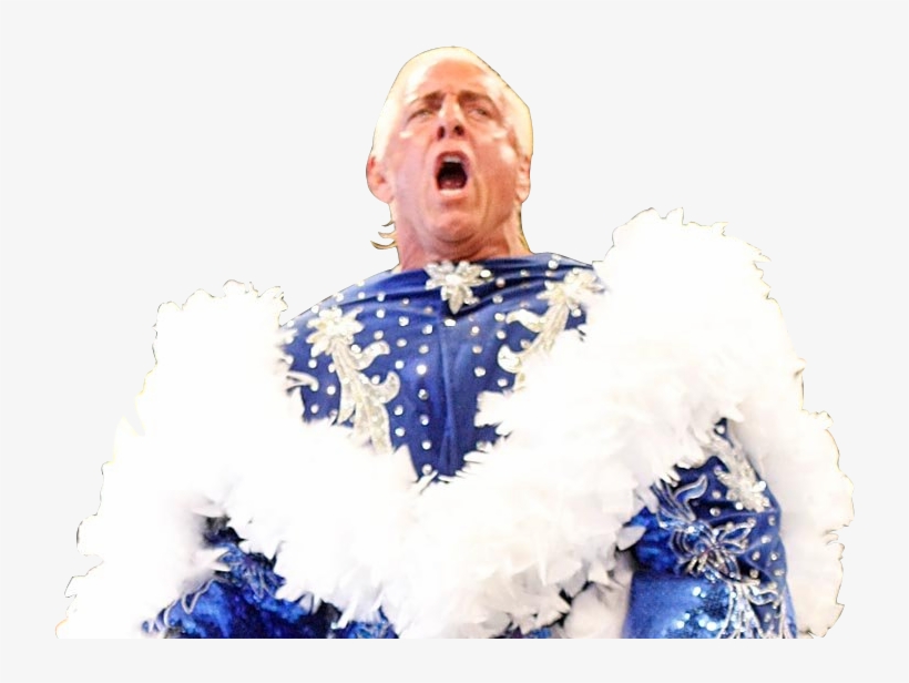 Ric Flair 1980s, Ric Flair Wrestling, Jeff Hardy, Ric - Senior Citizen, transparent png download