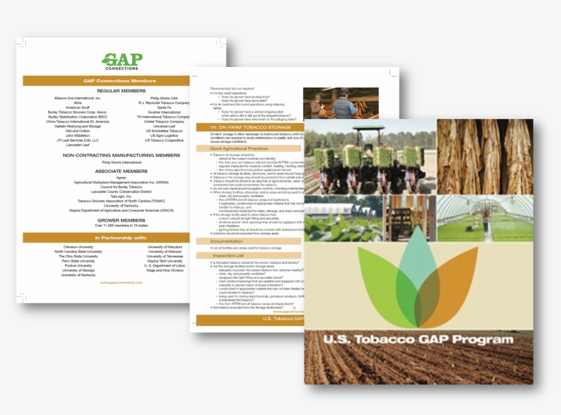 Tobacco Gap Binder - Flyer, transparent png download