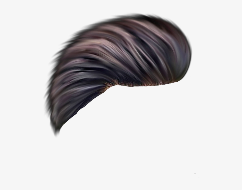 Hair Png - Lace Wig, transparent png download