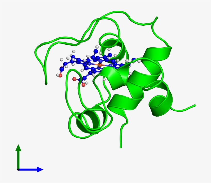 <div Class='caption-body'><ul Class ='image Legend - Graphic Design, transparent png download