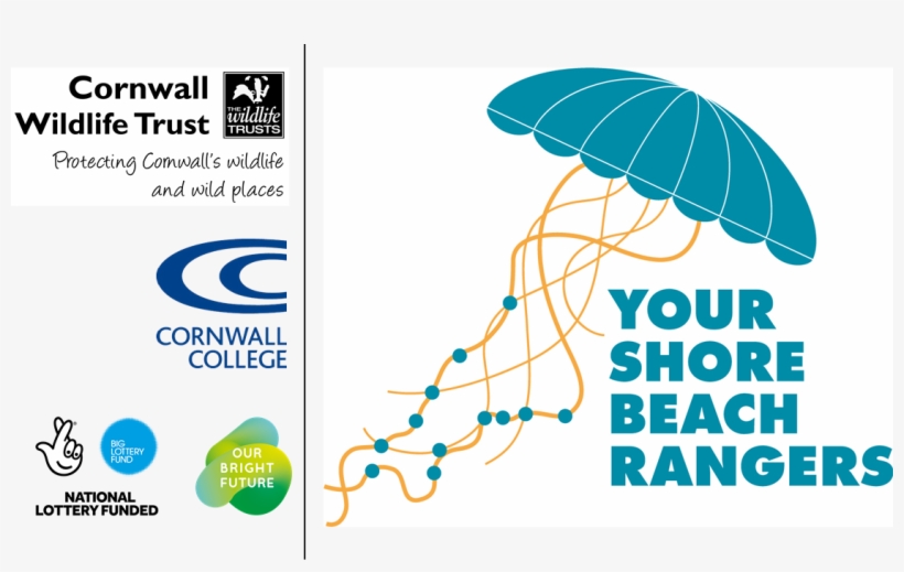 Ysbr Logo With Partners And Funders - Gloucestershire Wildlife Trust, transparent png download