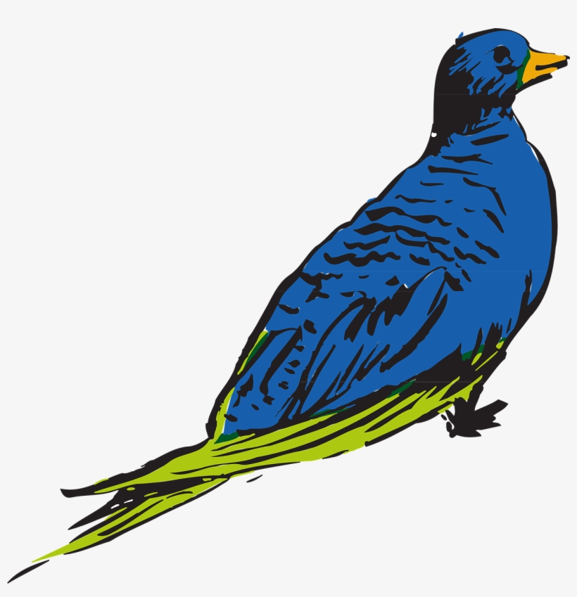 Blue Bird Wings - Feather, transparent png download