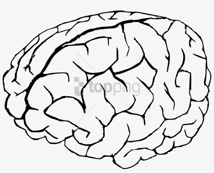 Free Png Brain Drawing Png Image With Transparent Background - Transparent Background Brain Clipart, transparent png download