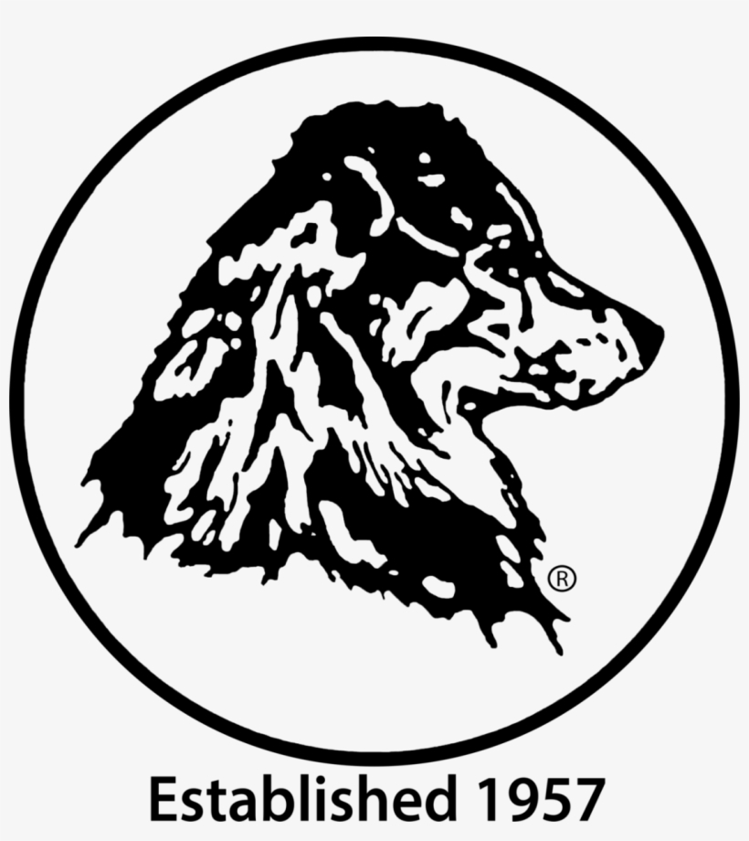 Australian Shepherd, transparent png download