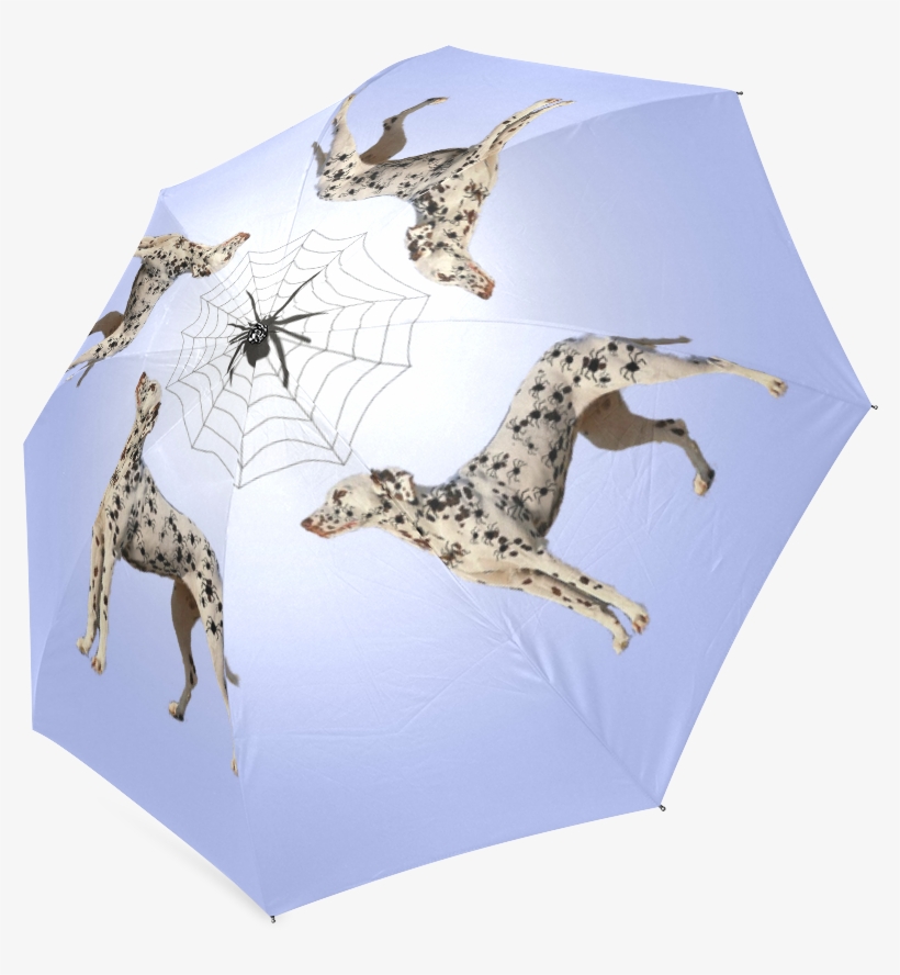 Giraffe, transparent png download