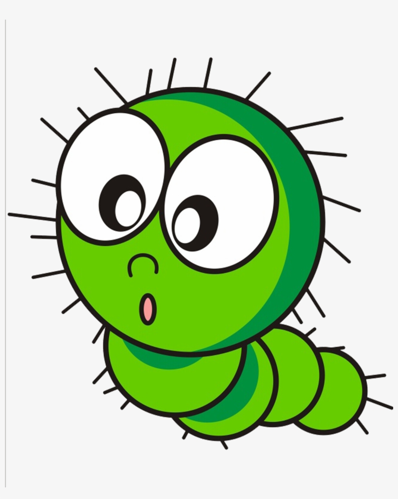 2953 X 2953 4 - 毛毛 虫 矢量 图, transparent png download