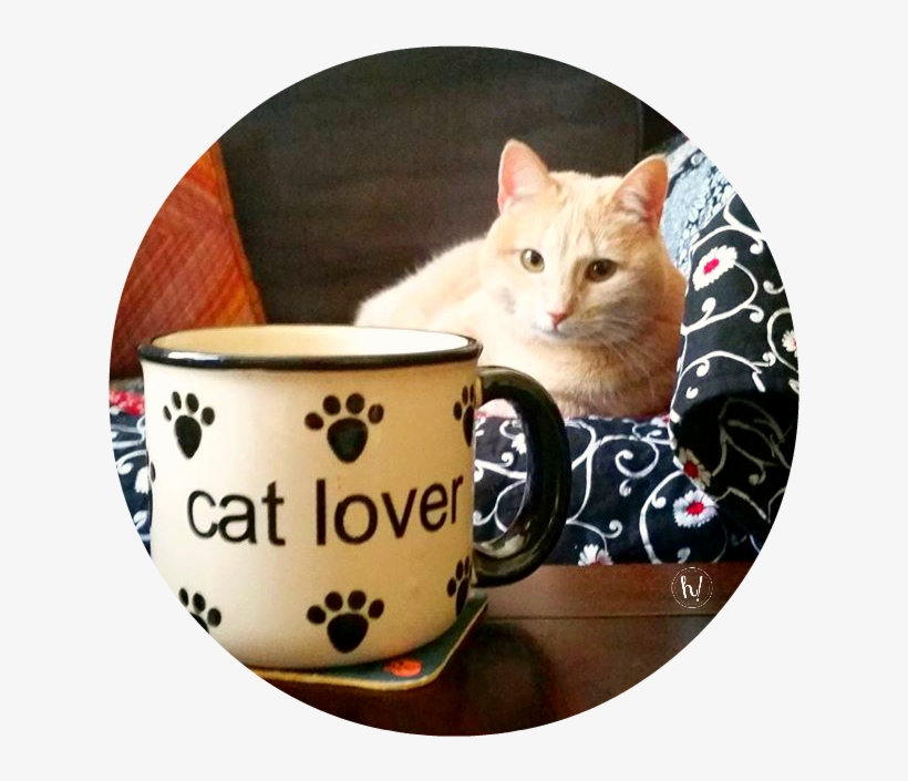 Black Cat Magic - Cat Grabs Treat, transparent png download